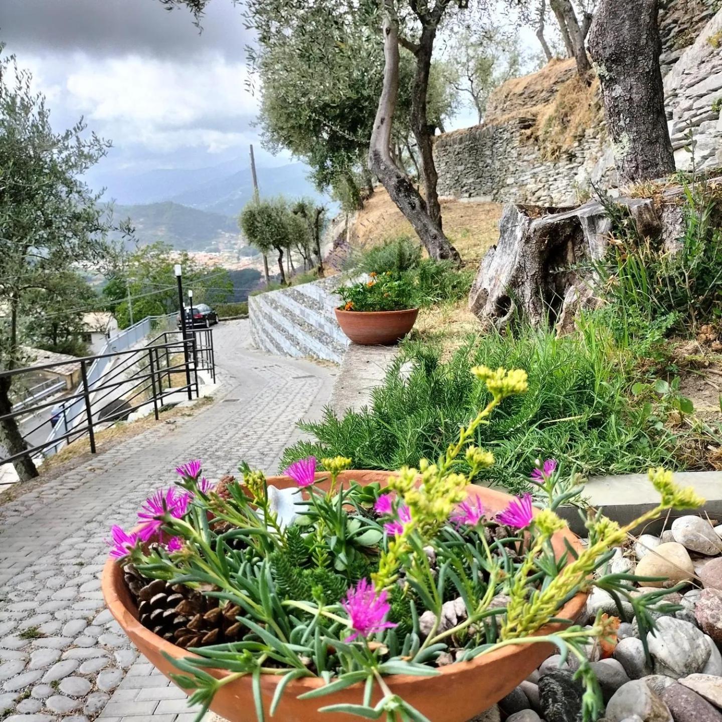 Ca' Da Tollo Hotel Cogorno Luaran gambar